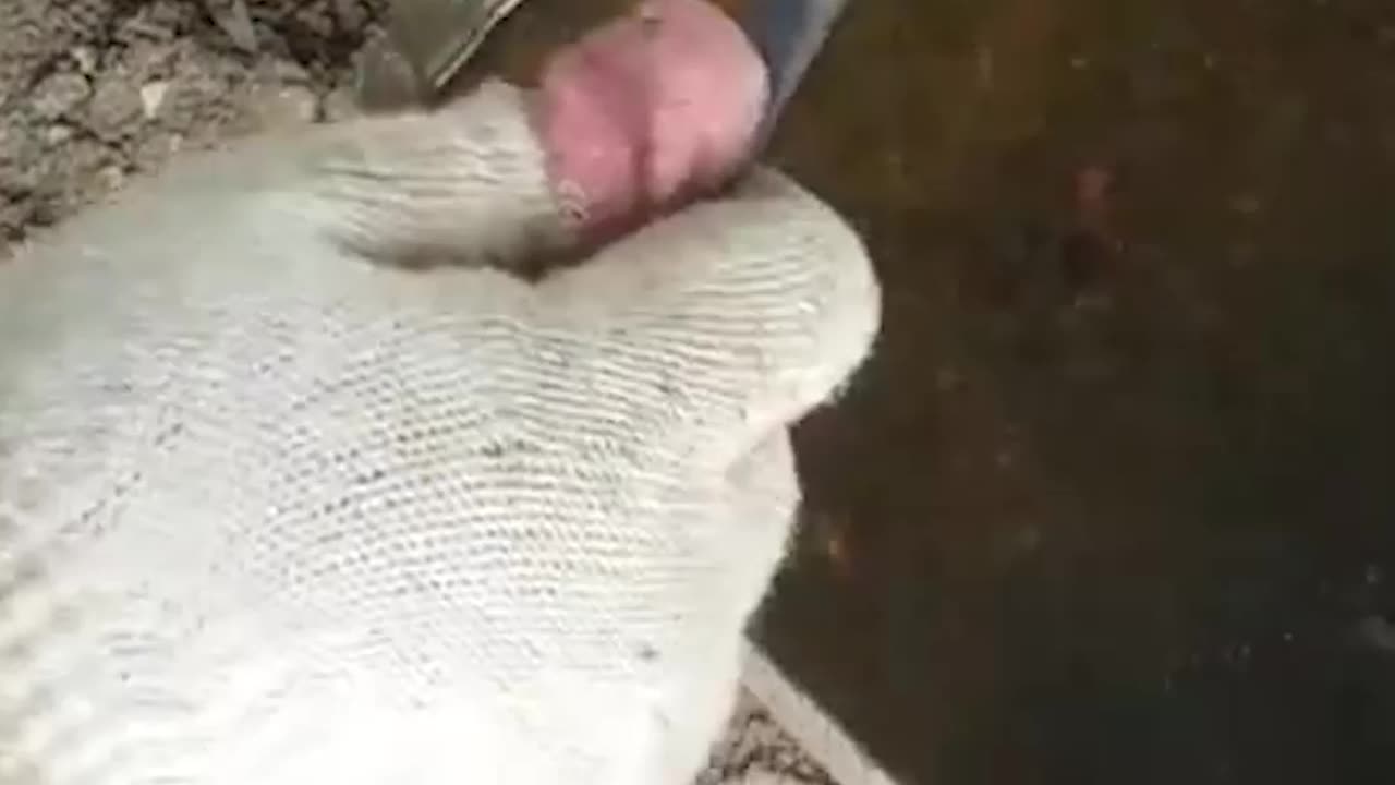 Filer into knife