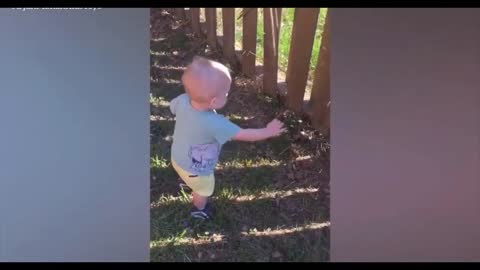 EXTREME Baby Funny Moments FAILS | IMPOSSIBLE Try not to Laugh 😂😱 NEW 202 | Best fun Compilation!
