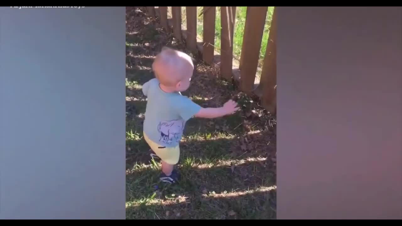 EXTREME Baby Funny Moments FAILS | IMPOSSIBLE Try not to Laugh 😂😱 NEW 202 | Best fun Compilation!
