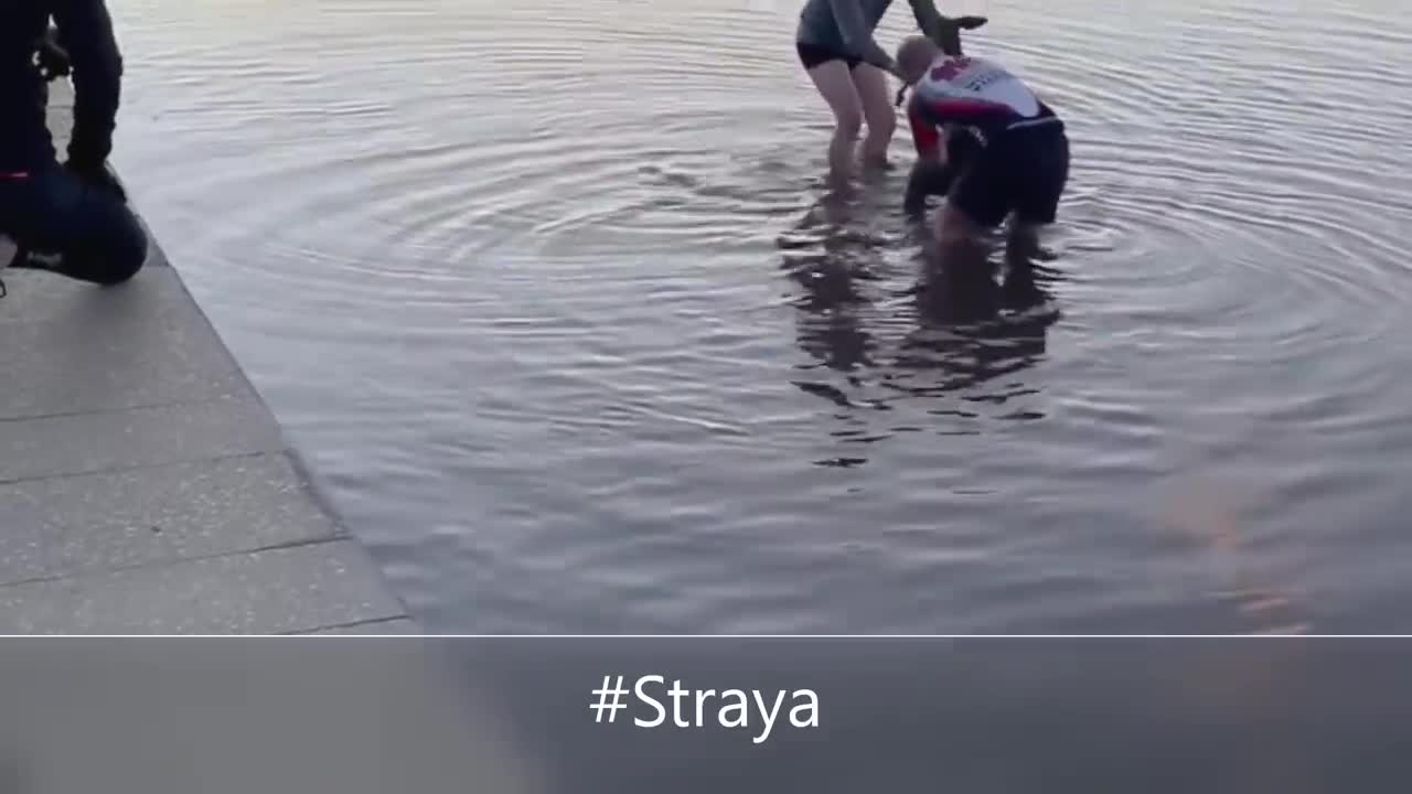 Kangaroo shakes hand with humans after being saved (australia)
