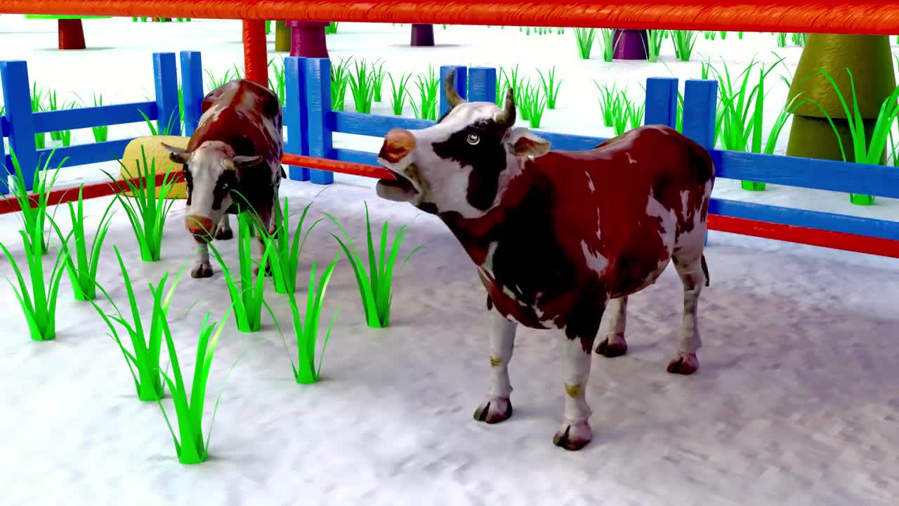 ANIMAL CARTOON