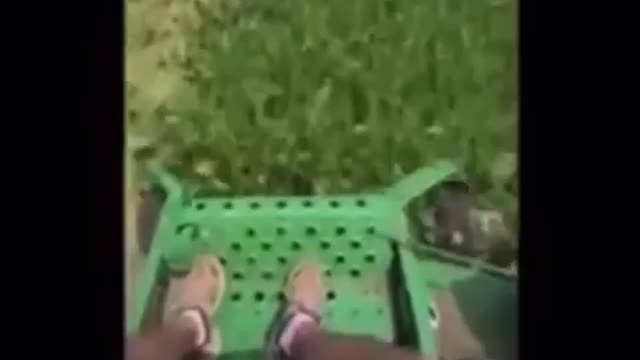 Government Forcing Farmers in America to Destroy Crops, Create Food Shortage
