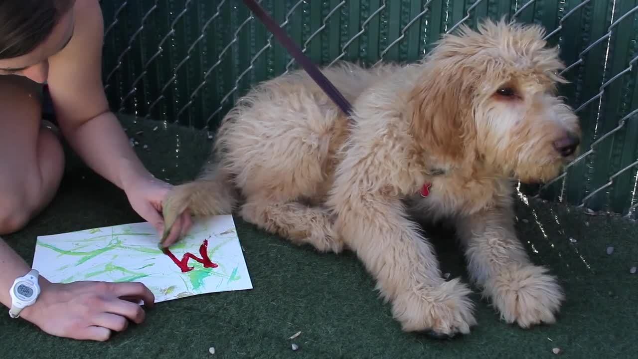 Doggie Picasso