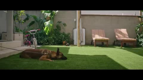 DOG | Official Trailer | MGM Studios