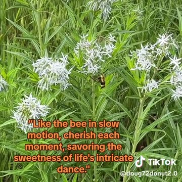 LEARNING TO PAUSE - DAILY DEVOTIONAL ❤️