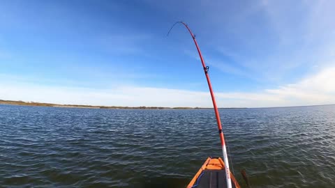 My PB Redfish from Kayak 12-13-2023