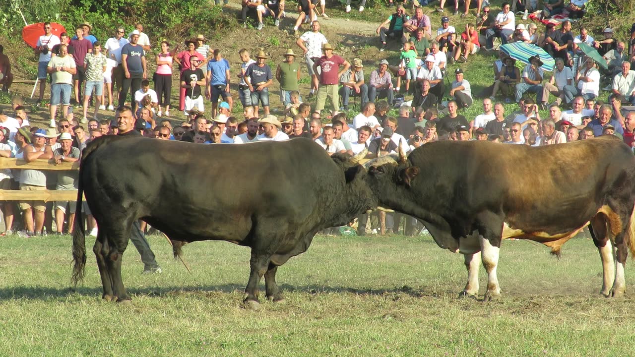 Mrkonja od Tubića vs Ruško od Jukića Kruščica 2024