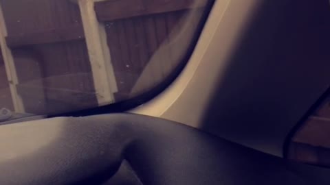 Cat walking on fence and get honked at and falls