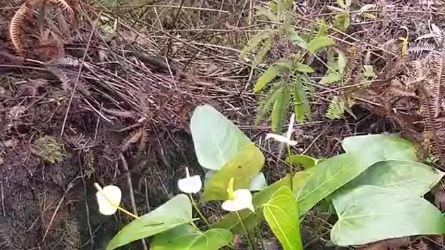 The Keys of the Kingdom for 2021