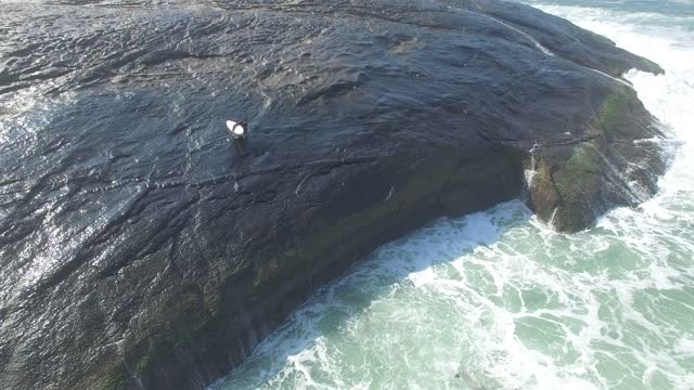 Slipping Surfers Slide into the Surf