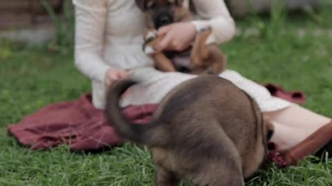 Woman holding dog