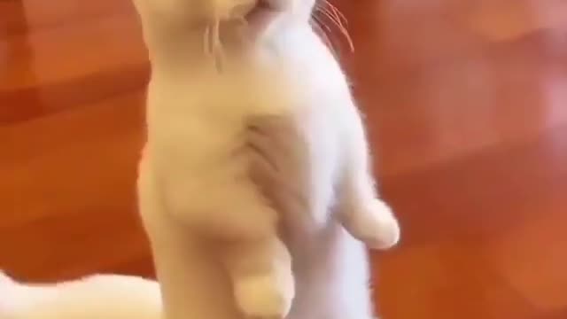 Are you sure about my appearance???