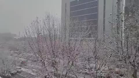 Snowing in seoul