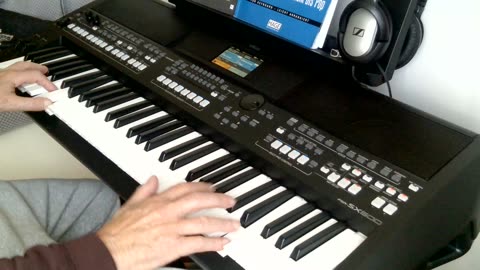 Patrona Bavariae (Naabtal Duo) cover by Henry, Yamaha PSR-SX600