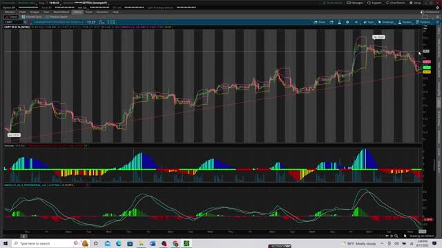 Option Flow highlights: bearish $CVNA order flow with Carvana huge profit next day and $CHPT setup