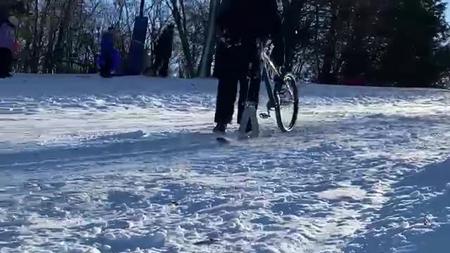 Flat Land or Downhill Ski Bike