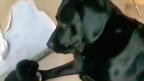 Size doesn't short video
