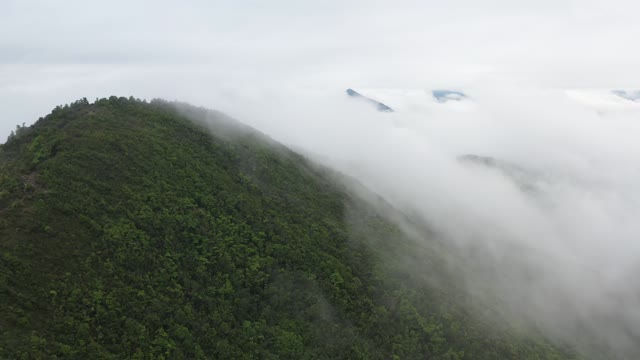 Nature maintain
