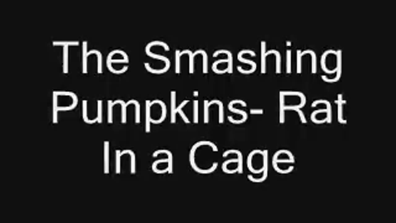 The Smashing Pumpkins Rat In A Cage