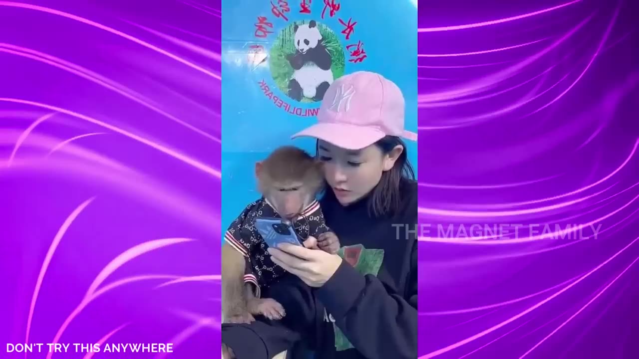 funny animal