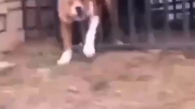 Something went wrong 🤣🤣🤣