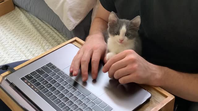 A Man and His Kitten are Two Peas in a Pod