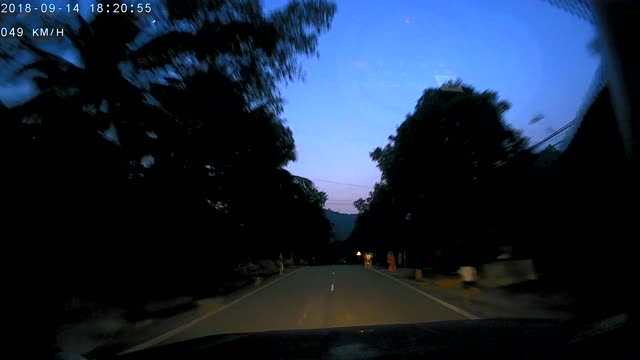 Dog and Child Cross Road Alone at Dark