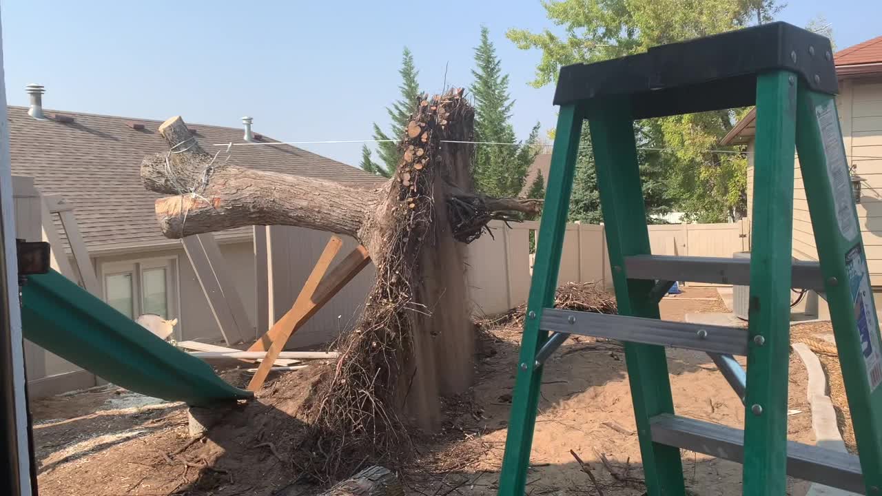 A tree fell on my neighbor's house! (Episode 1)