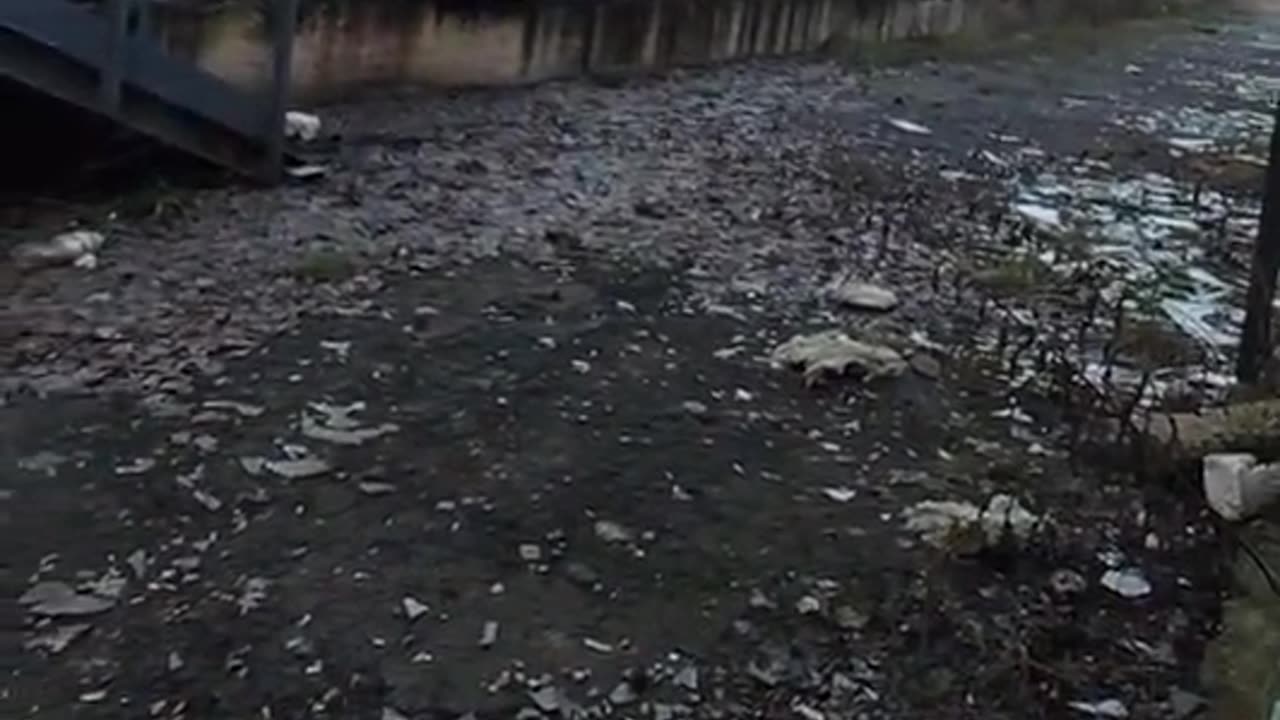 Ukrainians Decend on Recently Abandoned Factory Complex