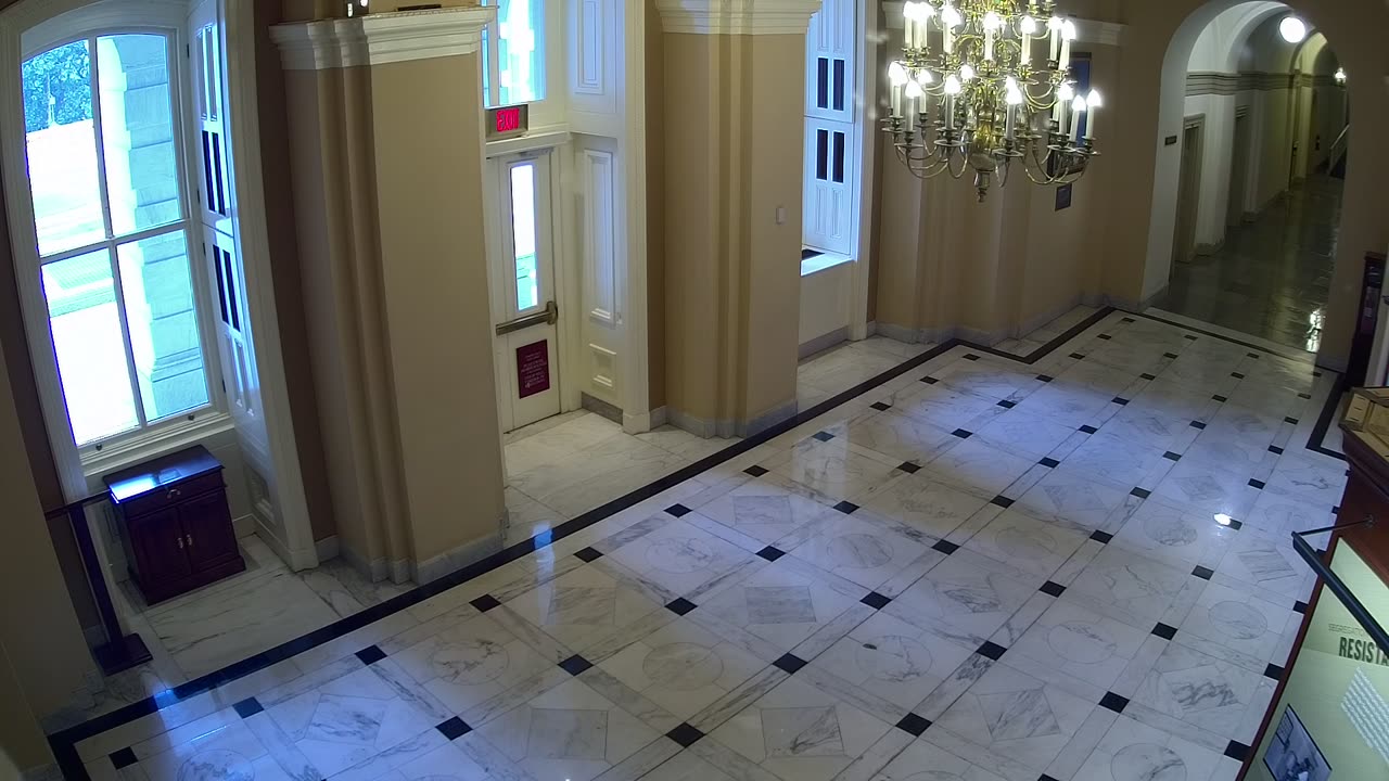 0153USCH01HouseWingDoor_2021-01-06_11h00min00s943ms.mp4