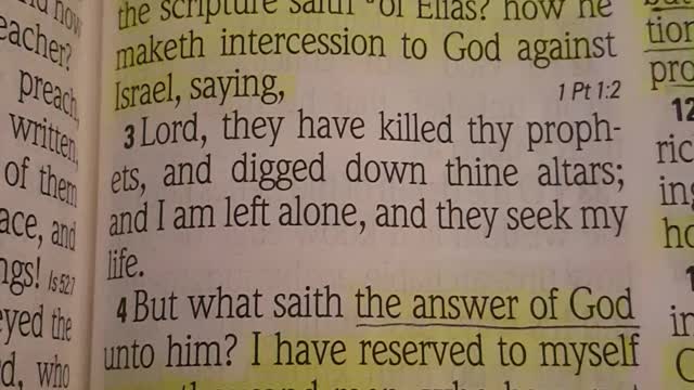 God's plan to save his chosen people Israel.