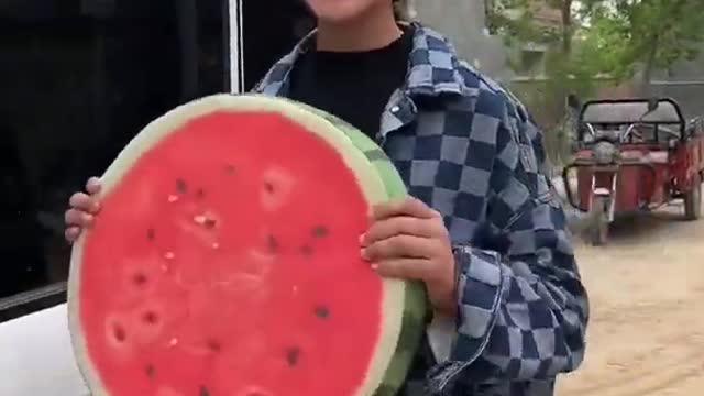 Funny video entertainment and entertainment