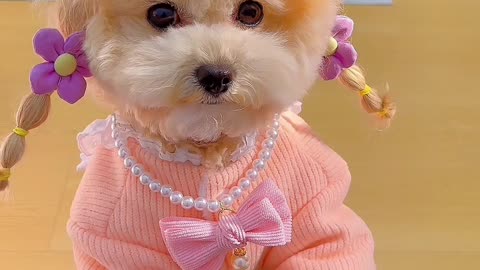 sooo adorable😍😍😍