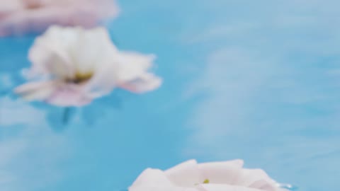 Luscious nature flowers