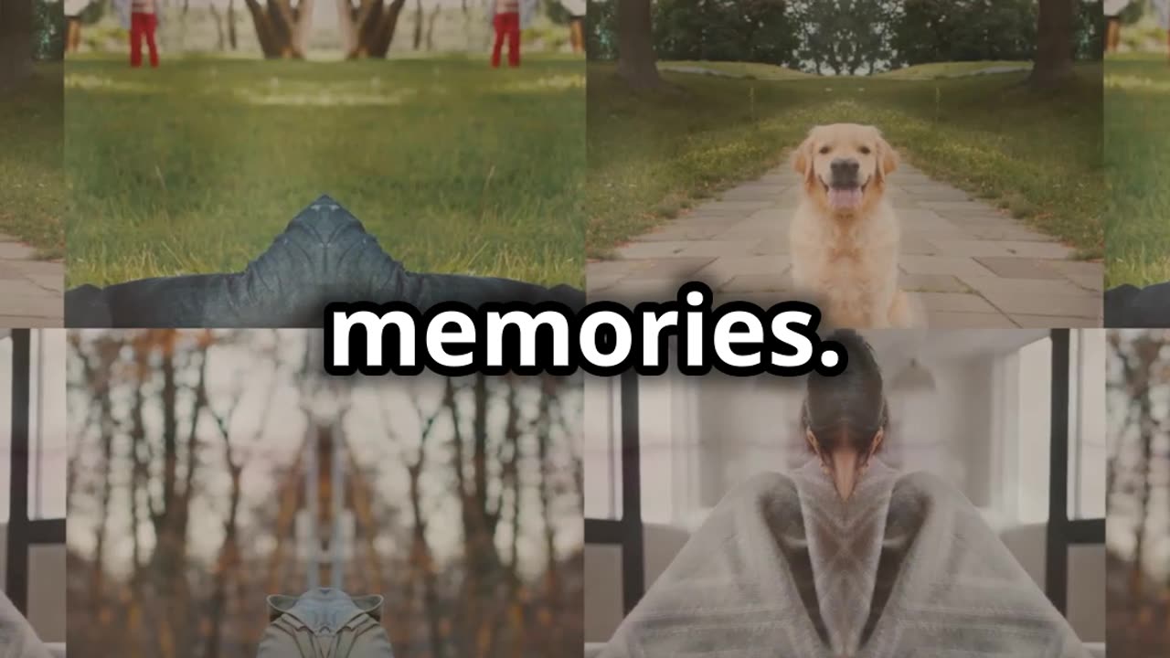 "Sometimes you will never know the value of a moment until it becomes a memory." — Dr. Seuss