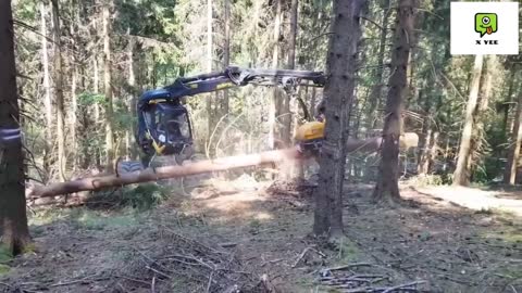 Wood Machines