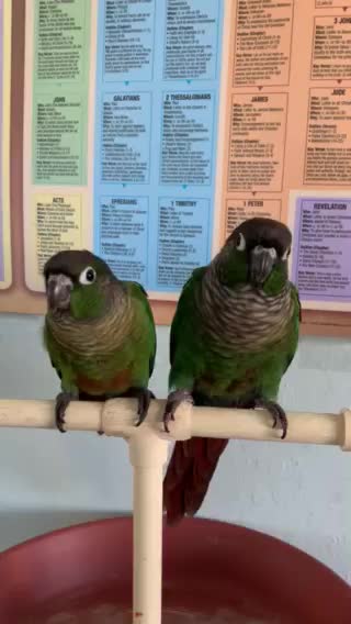 GCC Bible Study 9-25-20