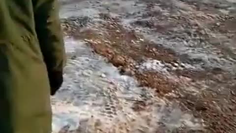Ukraine War - Russian Convoy near Bikin