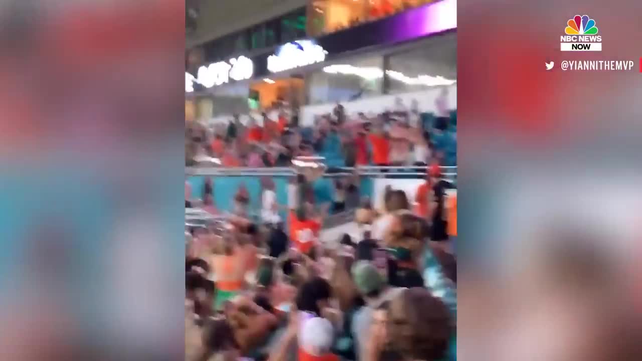 Watch: Miami Fans Using American Flag To Catch Falling Cat at Hard Rock Stadium