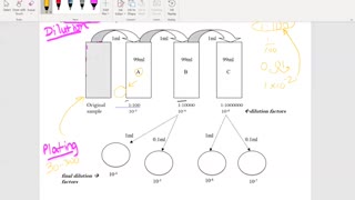 Microbiology - Standard Plate Count and basics of Dilutions