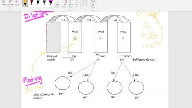 Microbiology - Standard Plate Count and basics of Dilutions