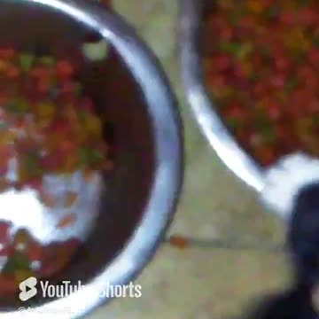 Someone needs to learn to share! #youtubecatshorts