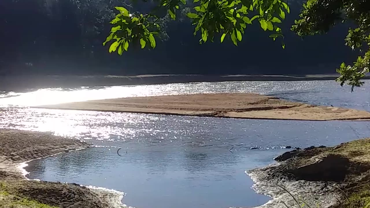 16.6.2024 The Barron River, Kuranda