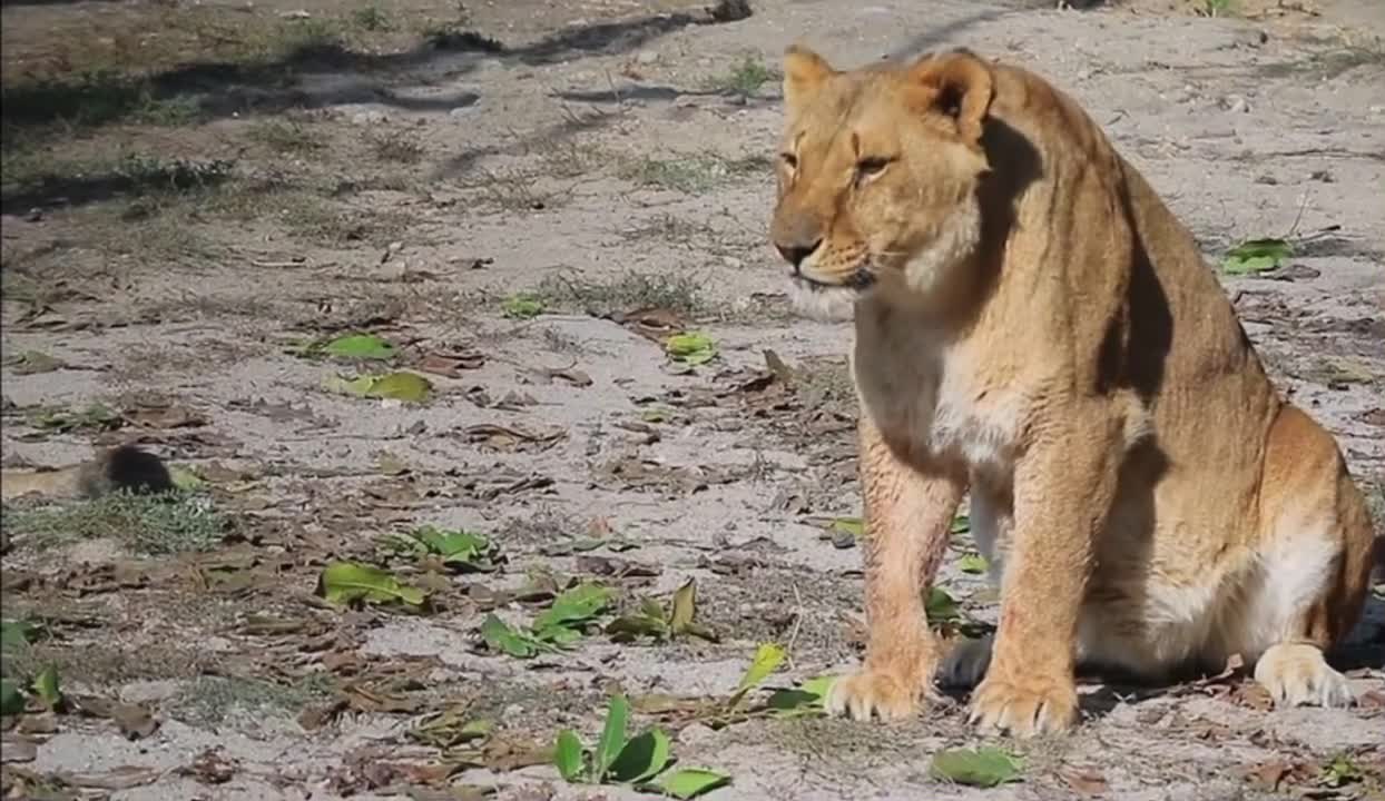 the most beautiful wild nature - small trails in our nature