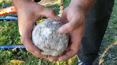 Big Ole Smokey Quartz