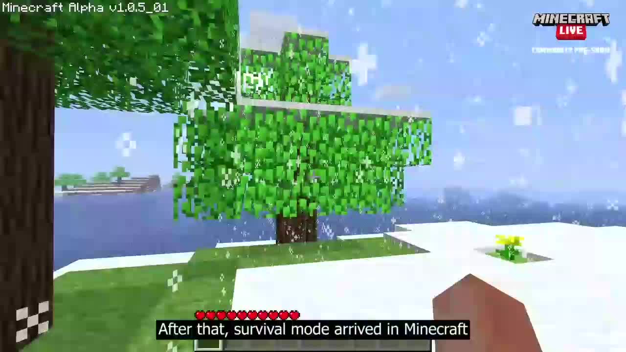 Minecraft | gaming video