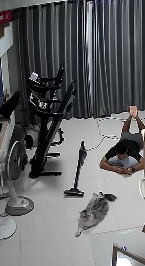 Low contact exercises are best