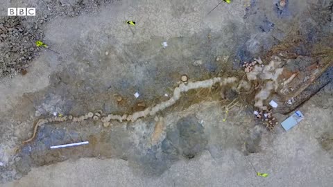 Sea Dragon Fossil Found at the Bottom of a Reservoir in England, What Is It?