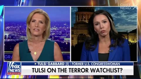 Tulsi Gabbard Says the Biden Regime Added Her to the Domestic Terror Watchlist