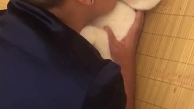 Cat Meows When Kissed